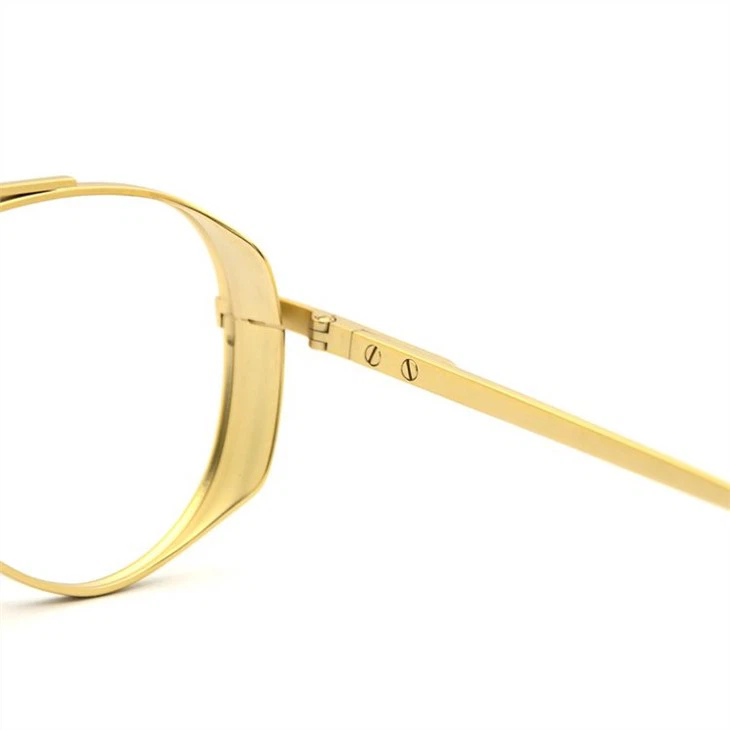 Fashion Frames Glasses Designer